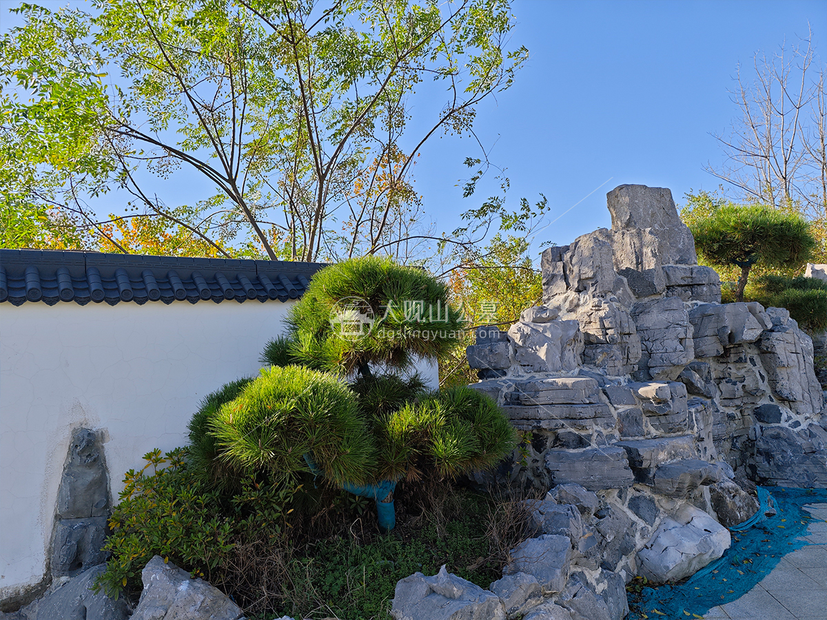 园区假山.jpg